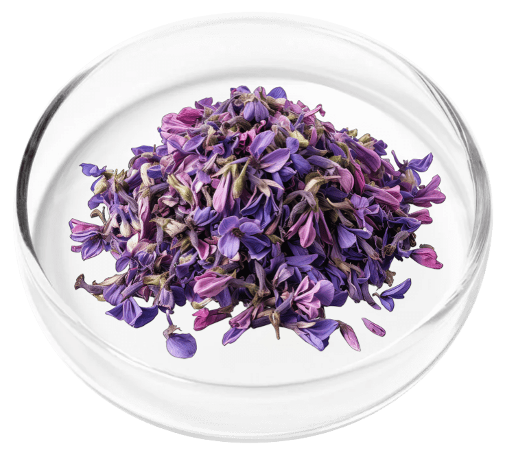 ingredient nervovive